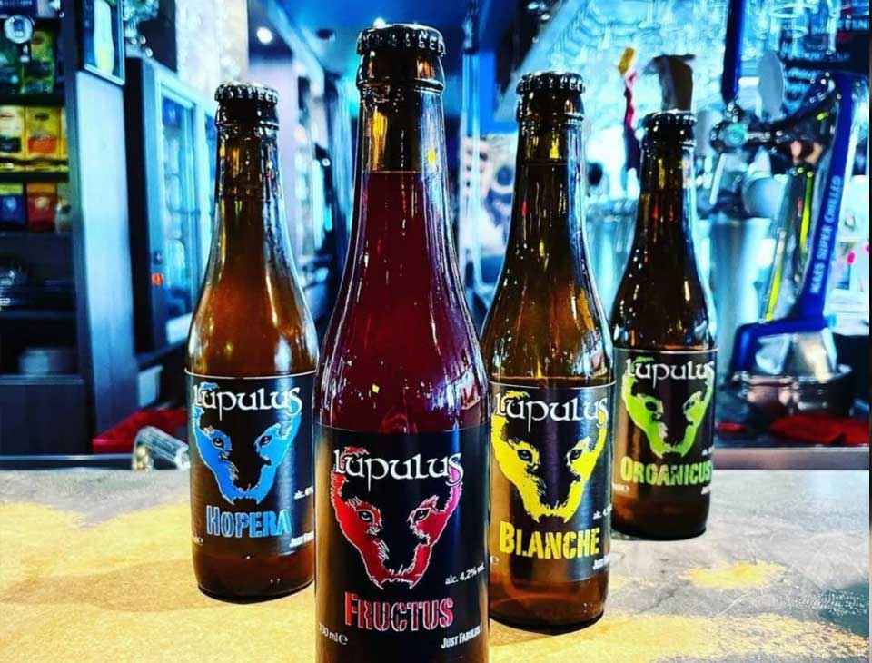 Brasserie Lupulus Brasserie Lupulus