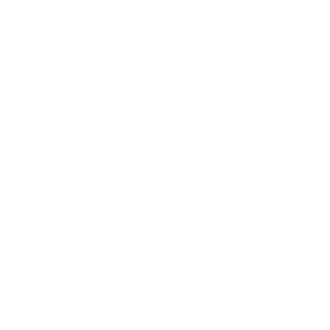 Vanhonsebrouck