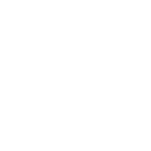 't Verzet